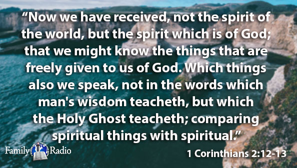 1 corinthians 2 12-13 niv