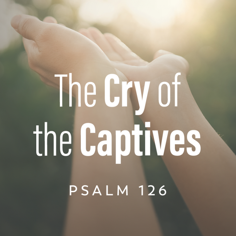 The Cry of the Captives, Ep. 7