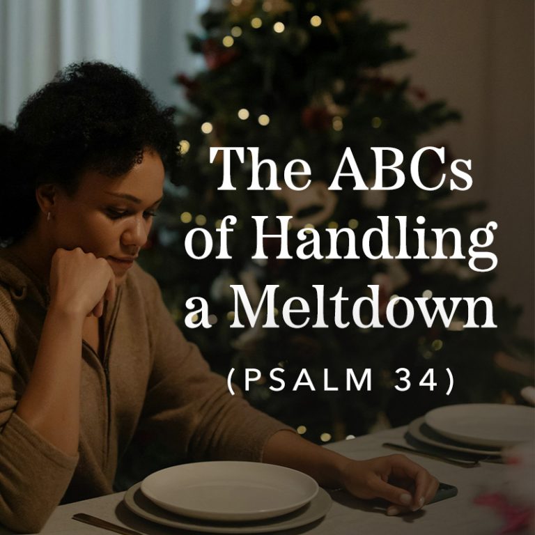 The ABCs for Handling a Meltdown, Ep. 4